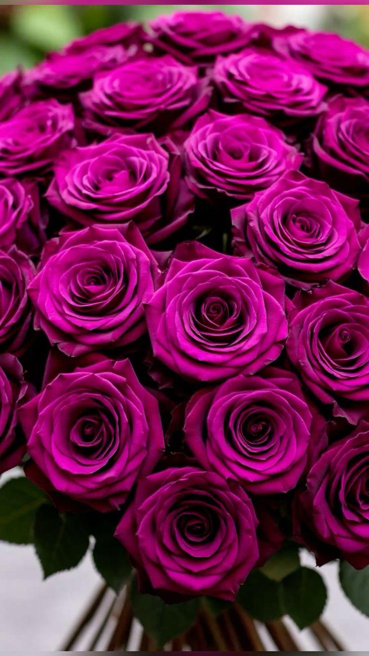 FlowHiddenStream workshop space where corporate flower arrangements are designed and prepared for business delivery